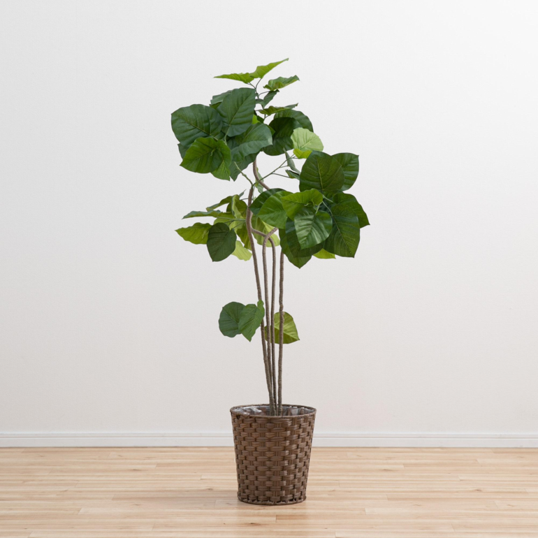 ウンベラータ120cm(フェイクグリーン) W55×H120xφ17.5cm Tokyodo