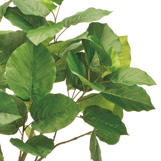 ウンベラータ180cm(フェイクグリーン) W110×H180xφ20cm Tokyodo / 東京