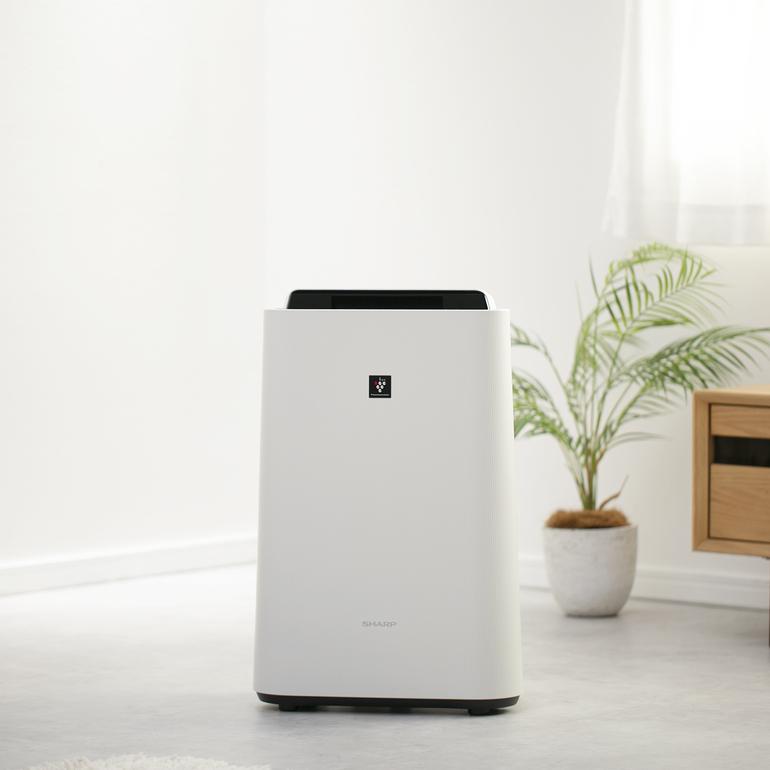 SHARP プラズマクラスター7000 空気清浄機（加湿機能付き） KC-R50-W  