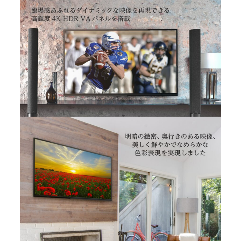 65V型 4K対応液晶テレビ 65V型 maxzen / マクスゼンのレンタル