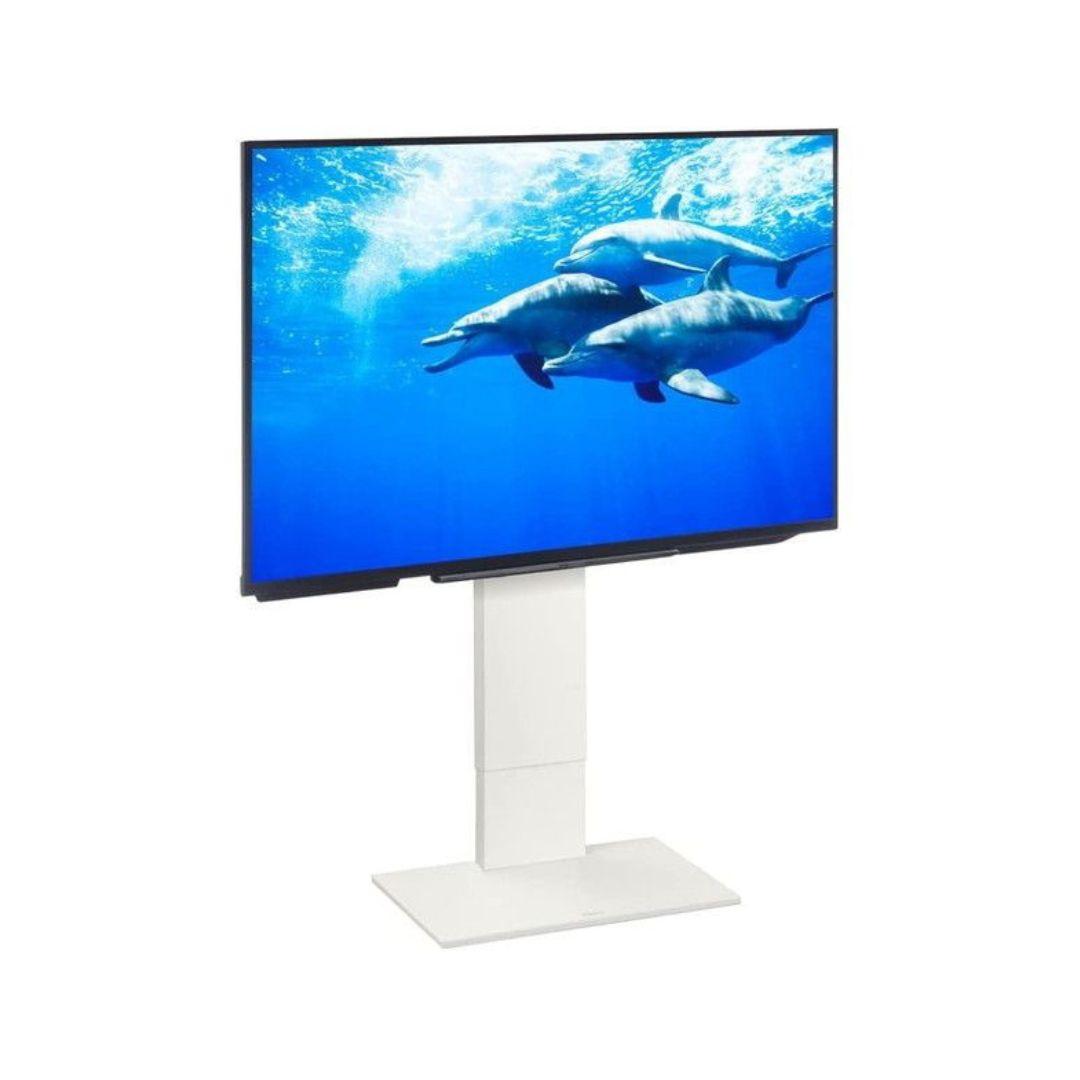 V2 ロータイプ テレビスタンド 65V対応 dショッピング |テレビスタンド ロータイプ 棚付き 32～60型対応
