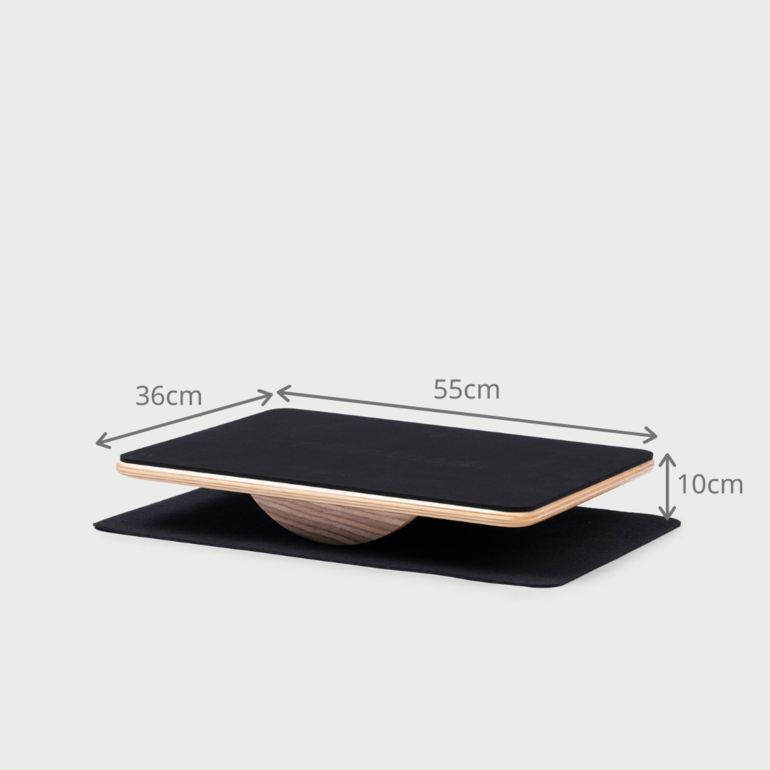 PlankPad PRO プランクパッドプロ プランクパッドのレンタル