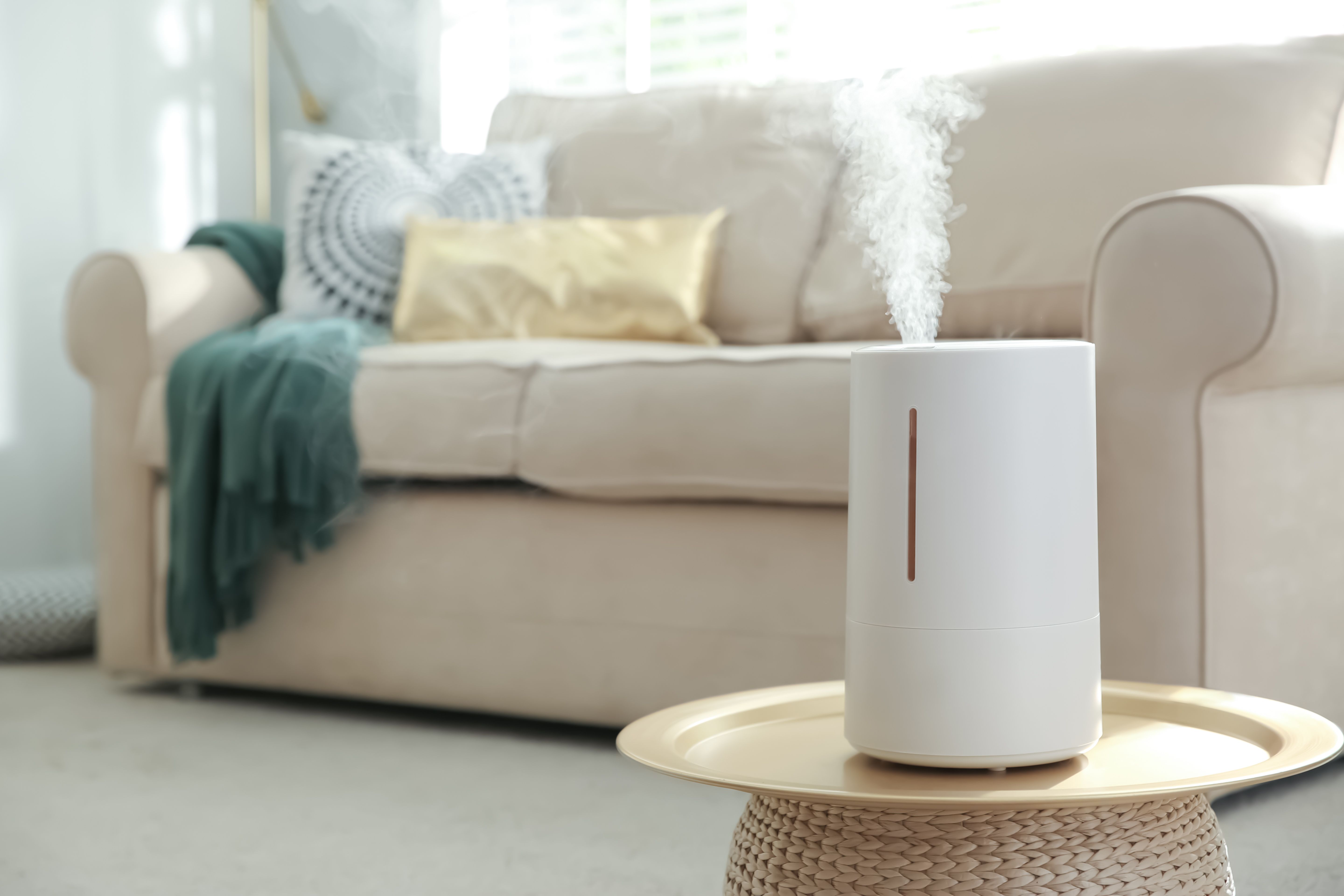 スチーム式加湿器はすぐに加湿でき衛生的なおすすめのタイプ
