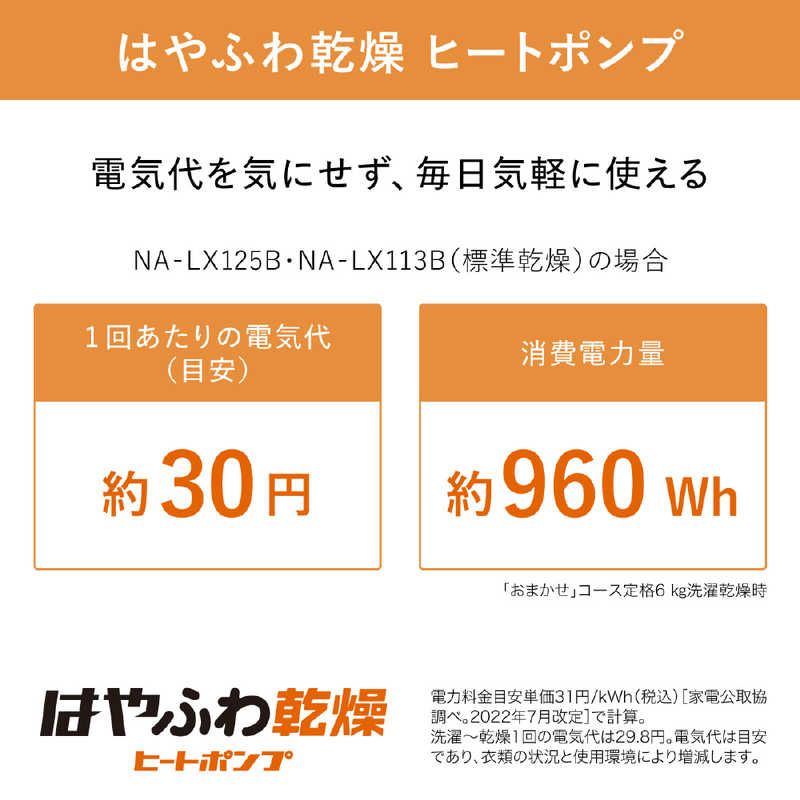 電力を抑えたパナソニックドラム式のはやふわ乾燥 ヒートポンプ