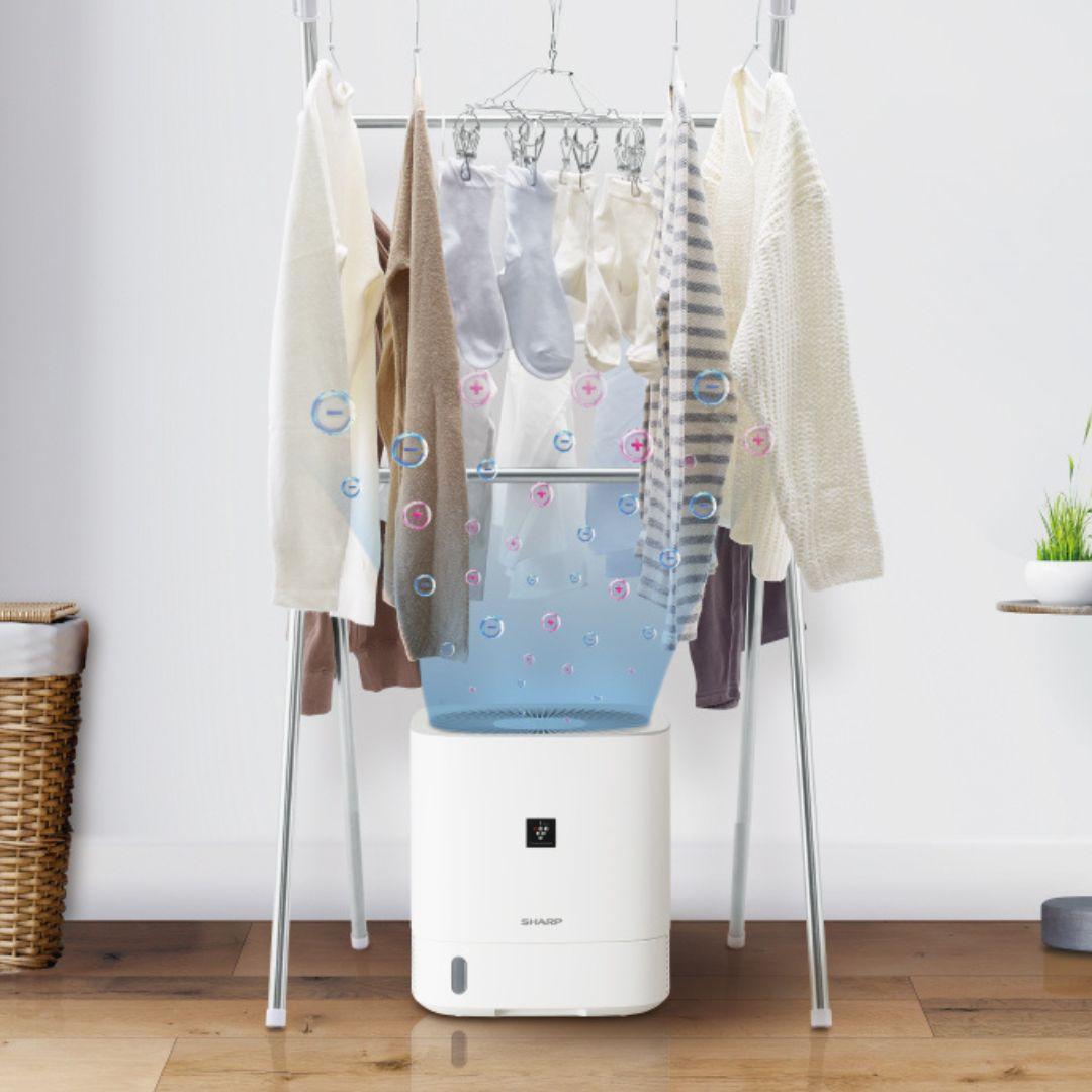 SHARP プラズマクラスター デシカント式衣類乾燥機 W30×D30×H32.3cm