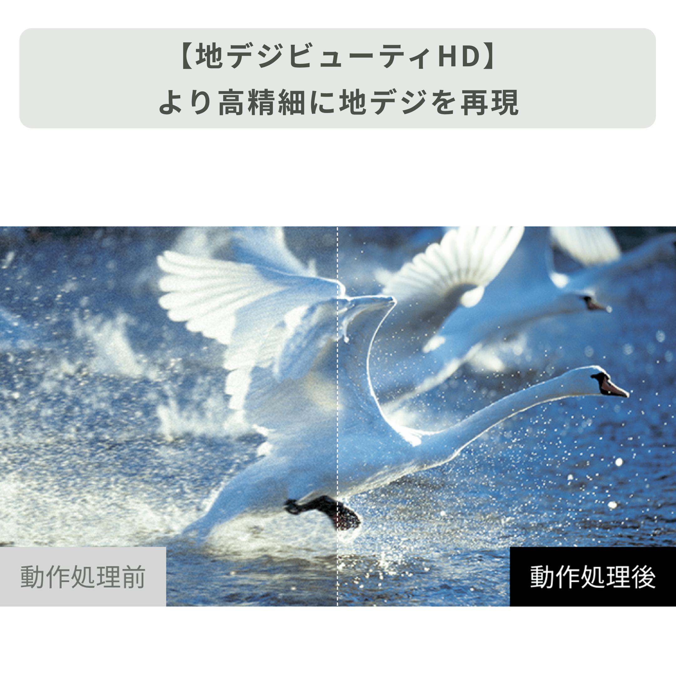 REGZA 液晶テレビ ネット動画ボタン付き 32V型(型番おまかせ) REGZA