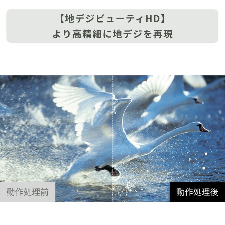 REGZA（レグザ）液晶テレビ ネット動画ボタン付き 40V型(型番おまかせ