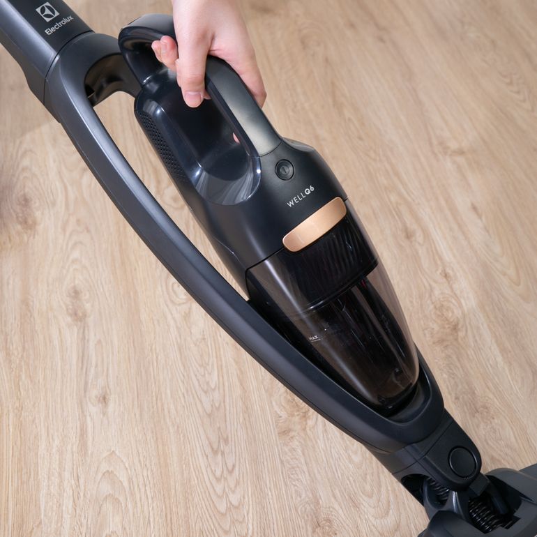 Electrolux (エレクトロラックス) Well Q6 スティッククリーナー WQ61