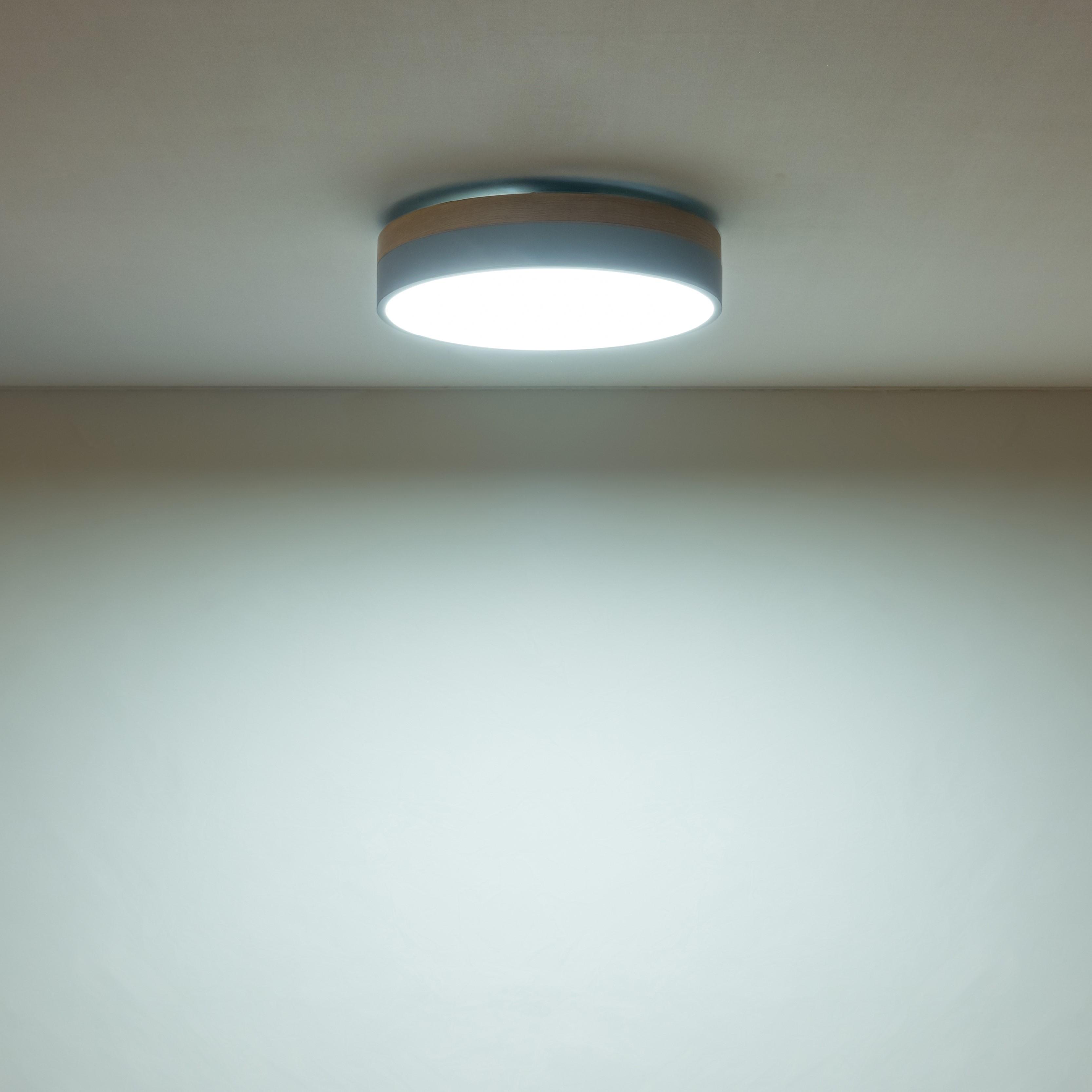 Olika 2トーン LEDシーリングライト 調光・調色機能付き Φ50 H11.5 cm