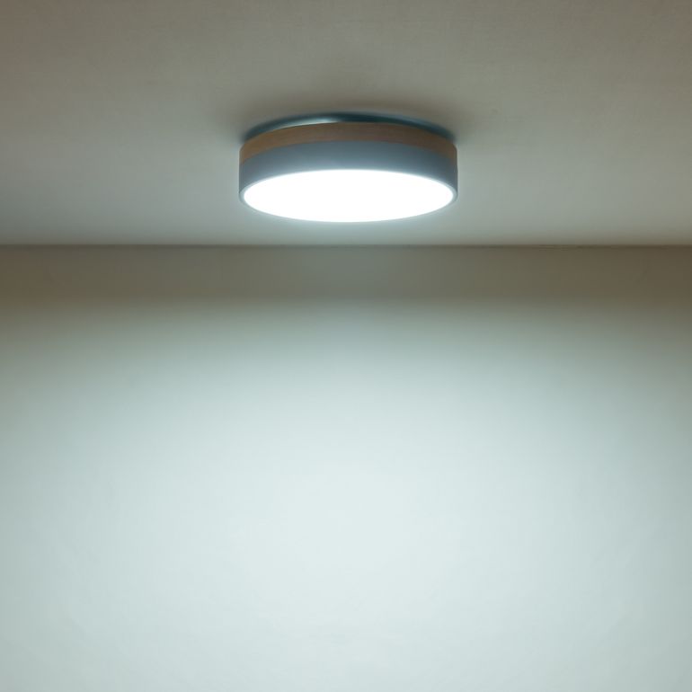 Olika 2トーン LEDシーリングライト 調光・調色機能付き Φ50 H11.5 cm