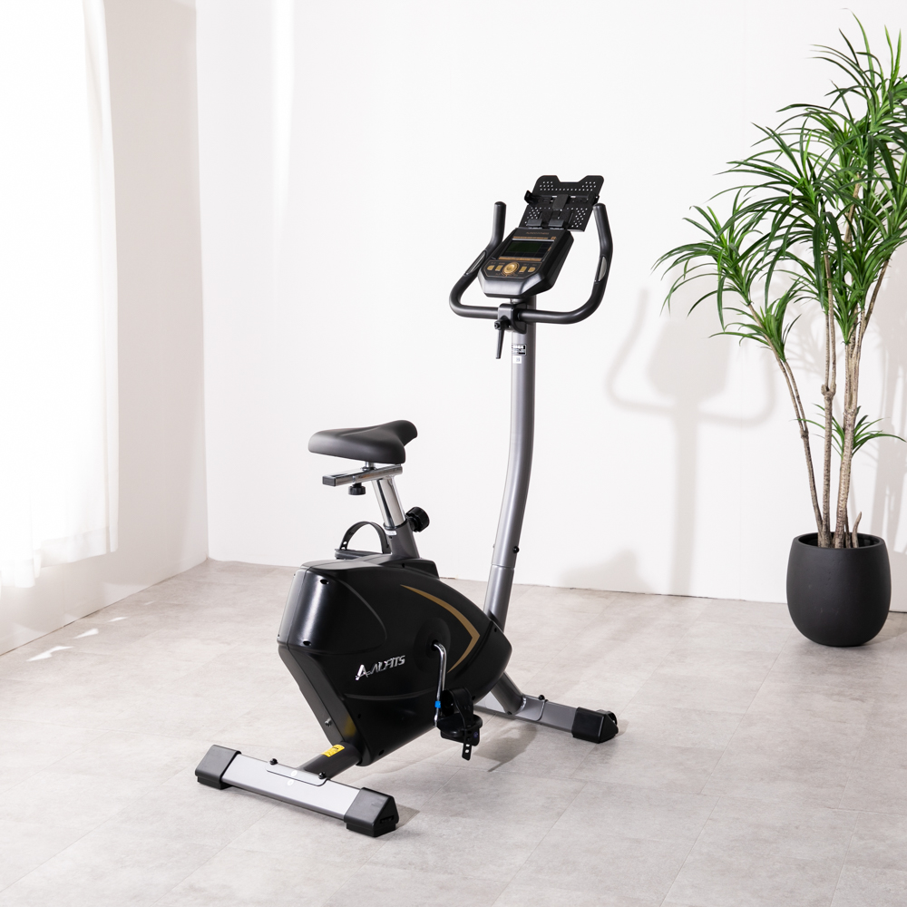 効率的に体脂肪を落とすトレーニング器具 自宅用　プログラムバイク