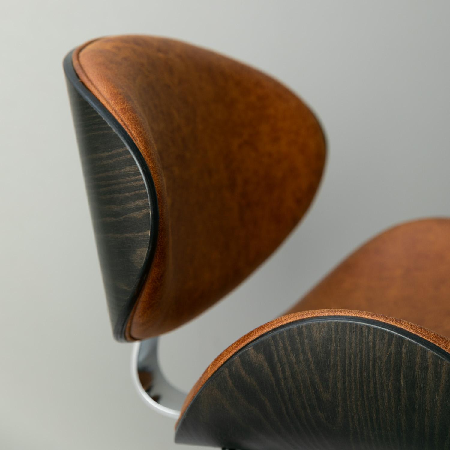 イームズ ダイニングチェア リプロダクト 【CLAS SET】2脚セットの