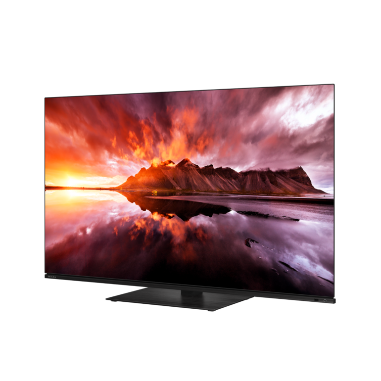 REGZA 4K有機EL ハイグレードモデル 48V型（48X8900N） REGZA