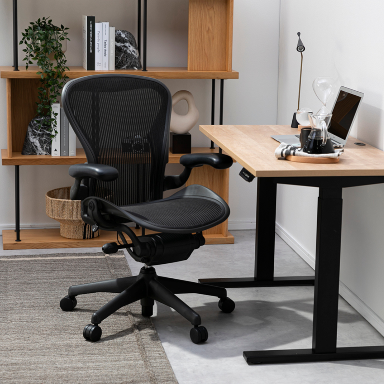 HermanMiller アーロンチェア クラシック ランバーサポート