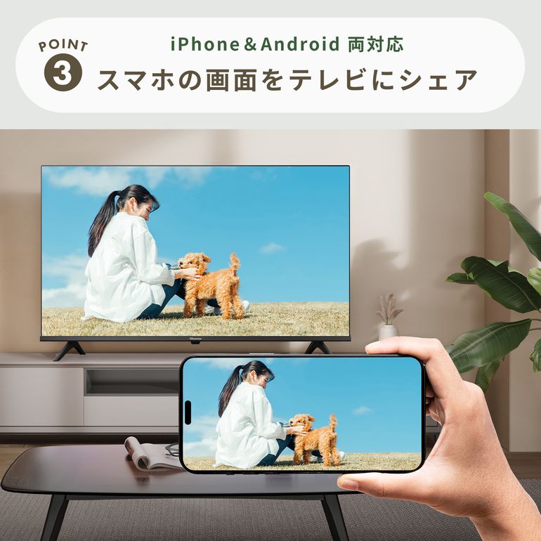 Hisense（ハイセンス） フルハイビジョン 液晶テレビ 液晶テレビ 32V型