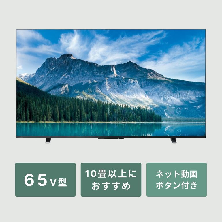 REGZA（レグザ）65V型 4Kチューナー内蔵 液晶テレビ 65V型 REGZA