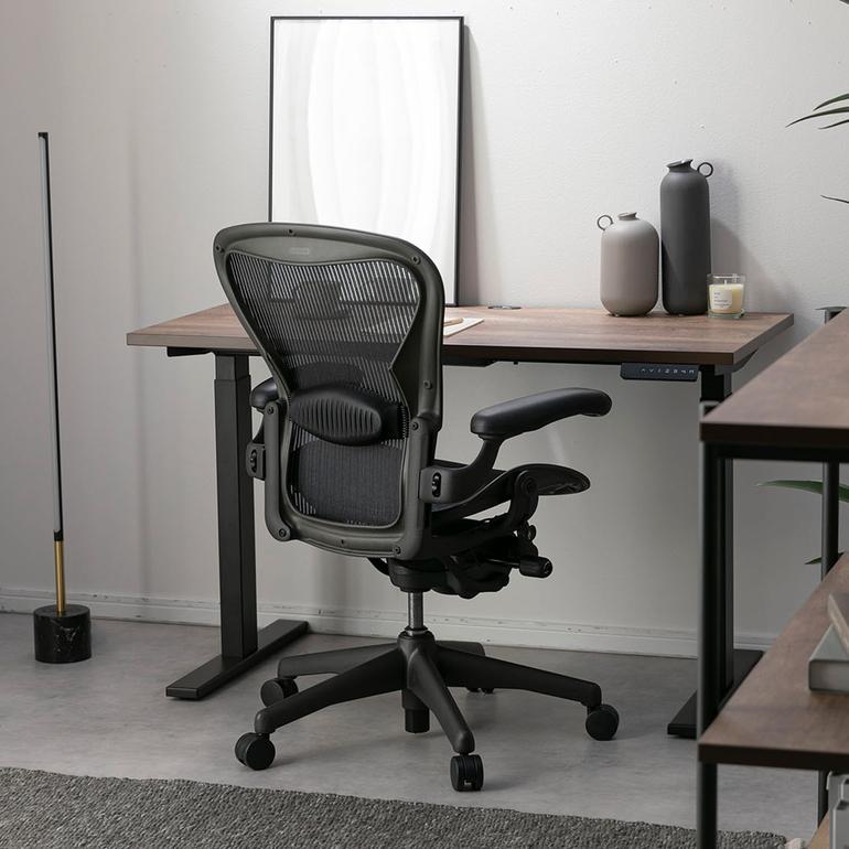HermanMiller アーロンチェア クラシック ランバーサポート フル装備 