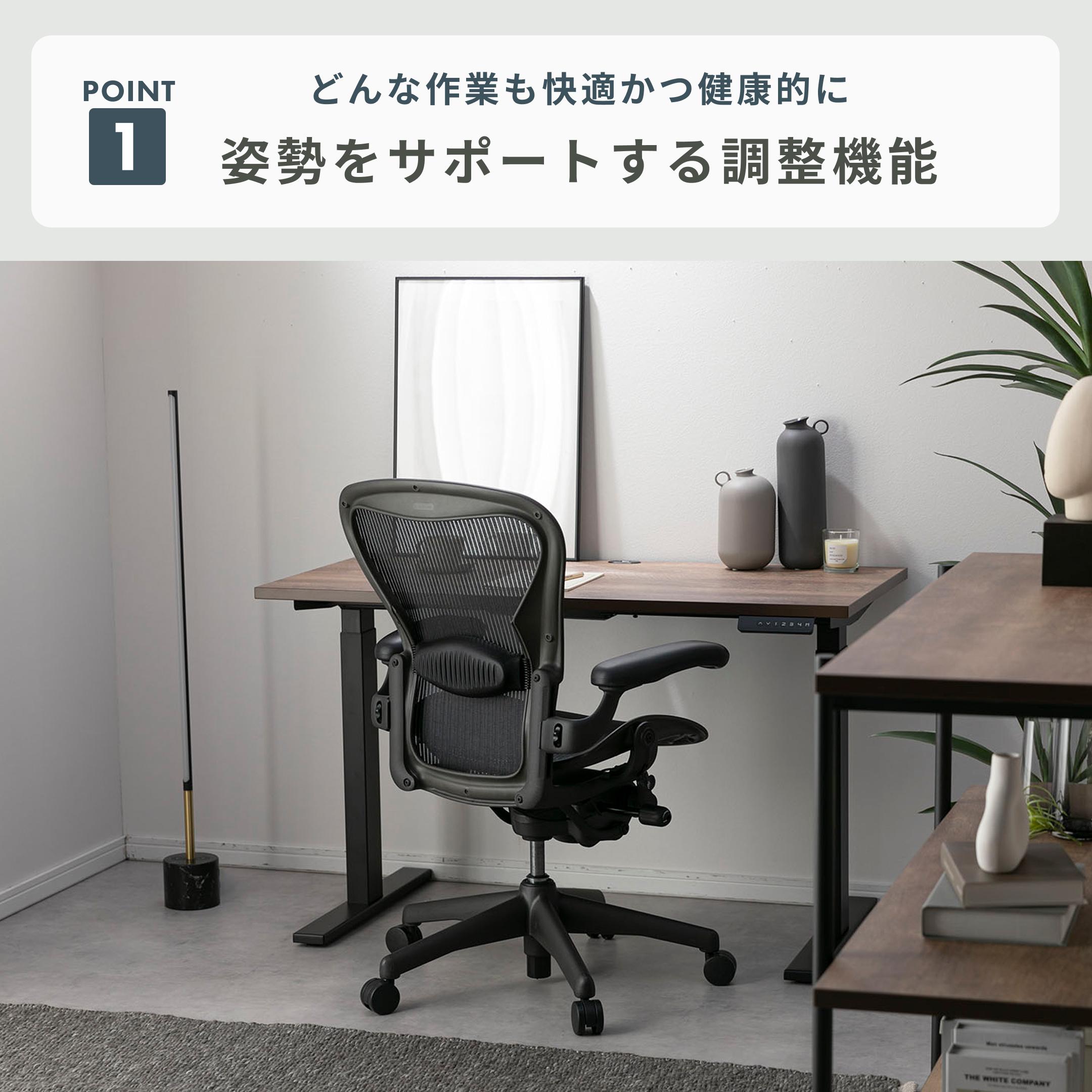 HermanMiller アーロンチェア クラシック ランバーサポート フル