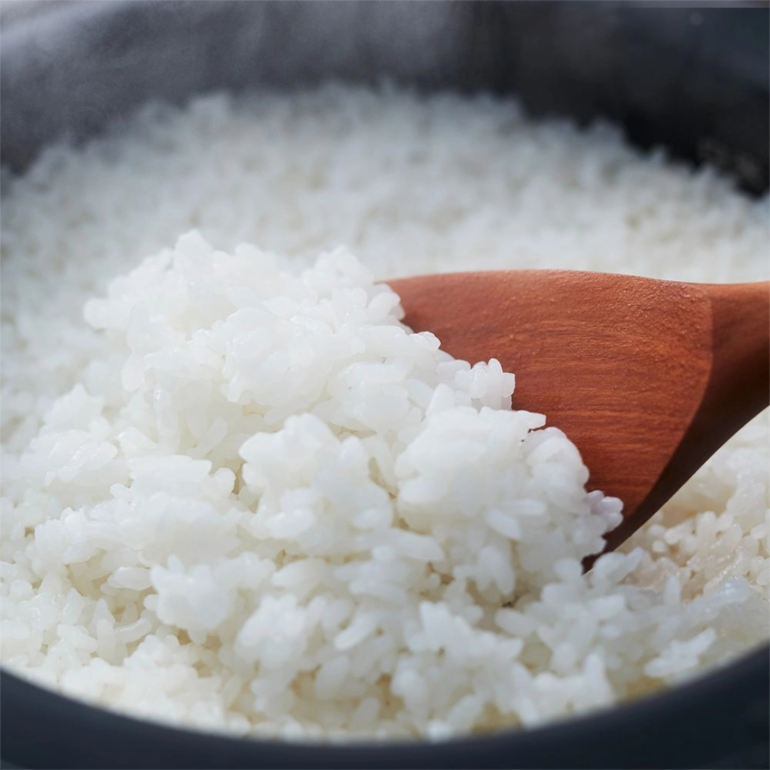 SHARP 3合炊き 炊飯器 3合炊き SHARP / シャープのレンタル