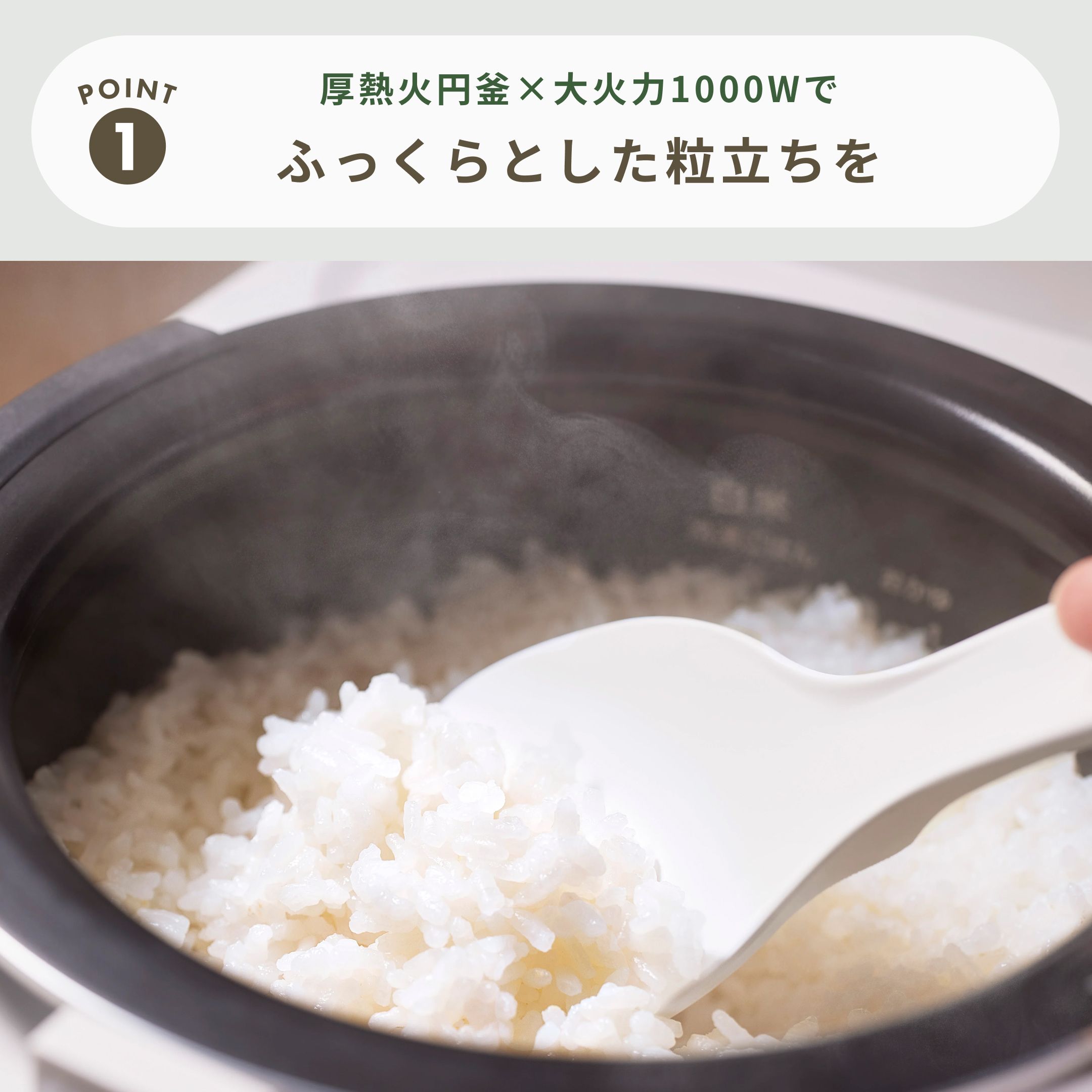 TWINBIRD (ツインバード) はやくておいしいIH炊飯器 3合炊き TWINBIRD