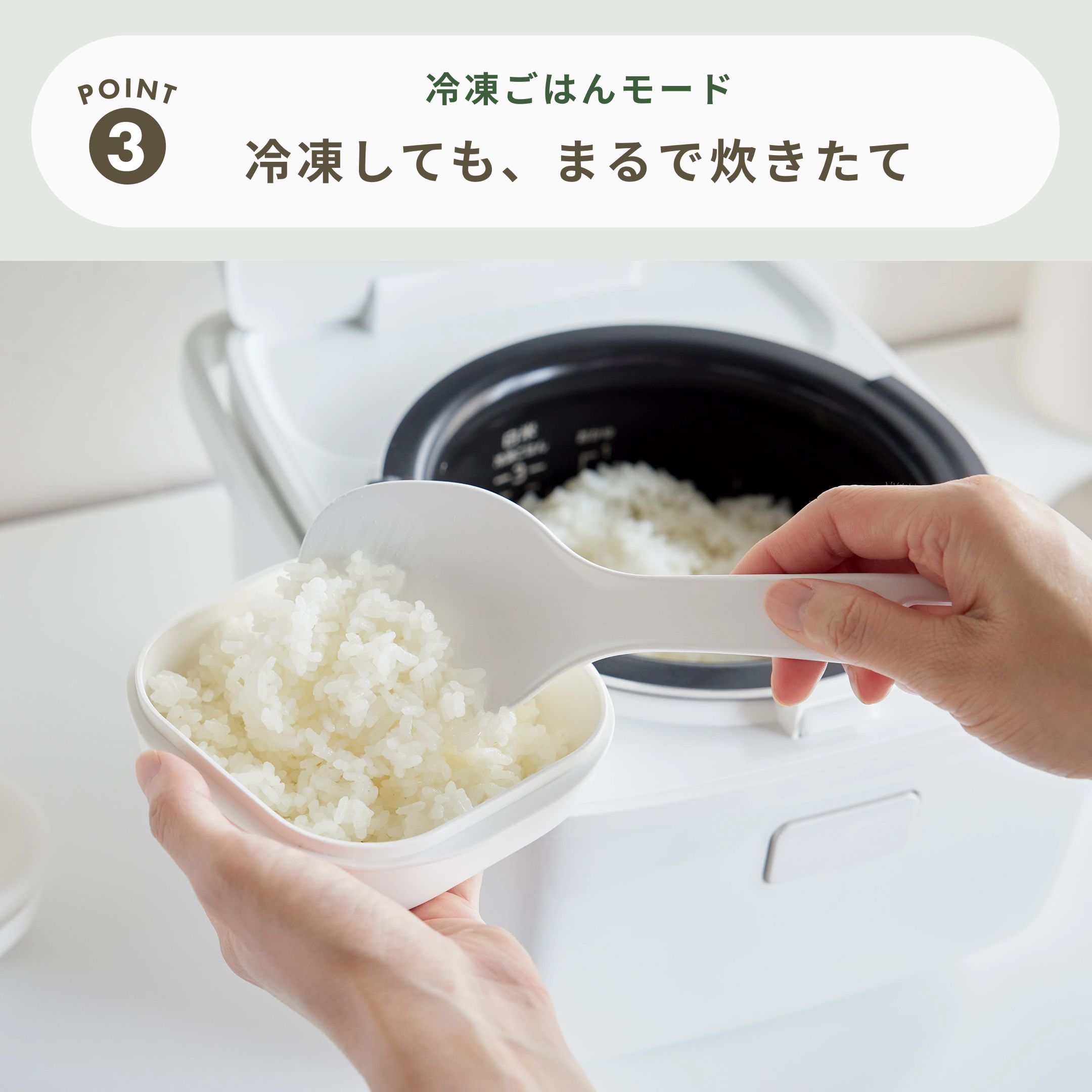 TWINBIRD (ツインバード) はやくておいしいIH炊飯器 3合炊き TWINBIRD