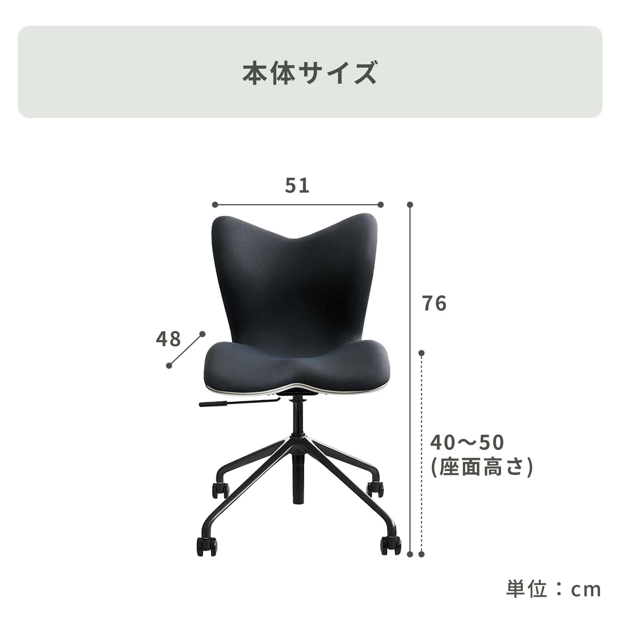 MTG スタイルチェア PMC 幅51×奥行48×高さ76㎝ MTG / エムティージーの