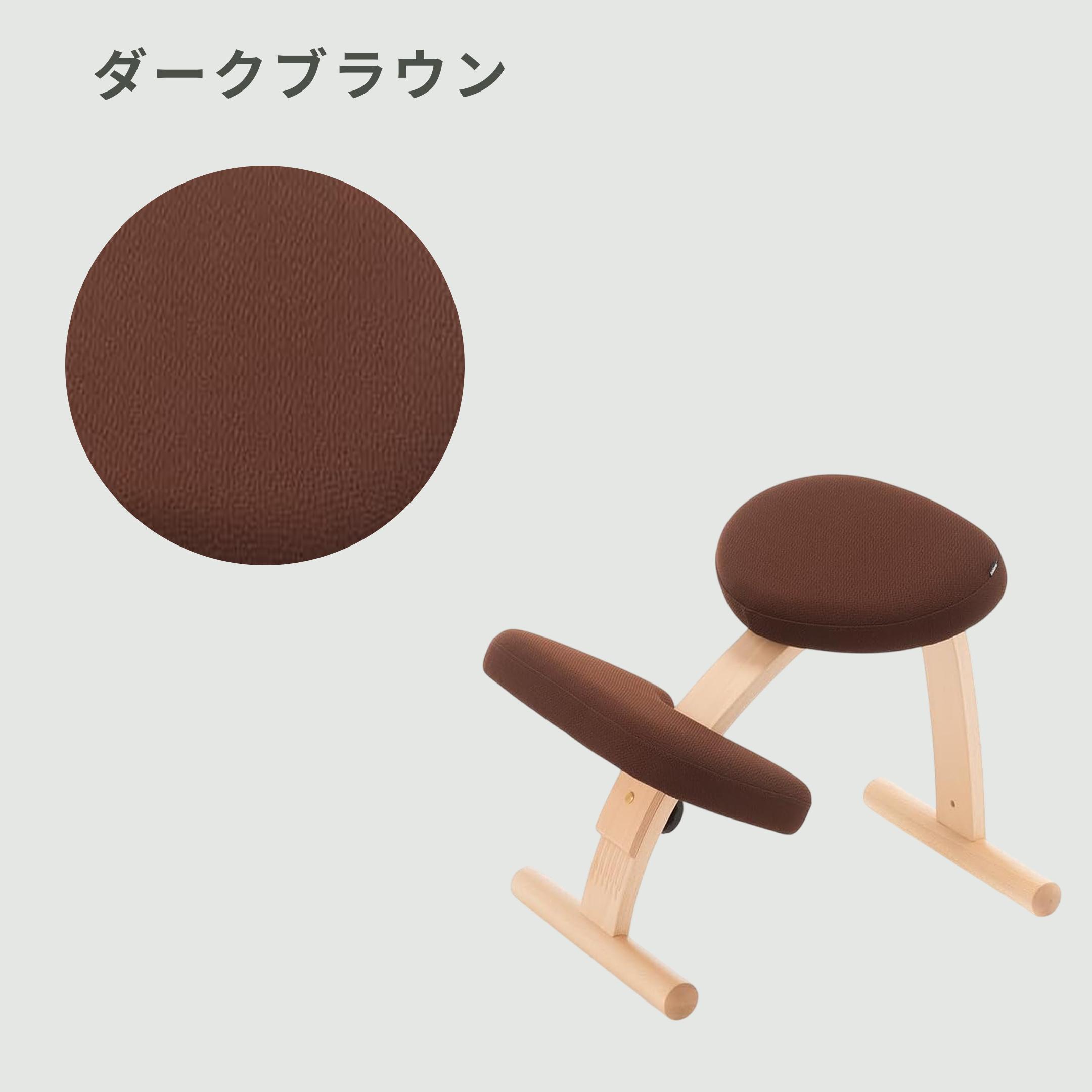 【極美品】balans Easy バランスイージー 通常フレーム オプション付き 31nyFDg0XvL.__AC_SR150,300___.jpg
