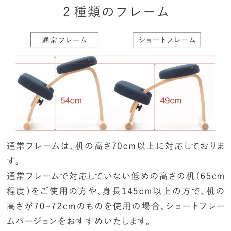 バランスイージー　ショートフレームバージョン BALANS LAB バランスイージー チェア ショートフレームの