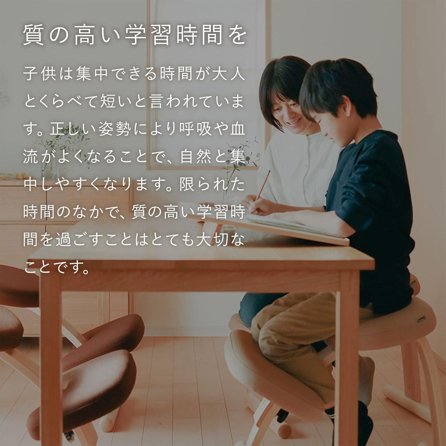 BALANS LAB バランスイージー チェア 通常フレームのレンタル