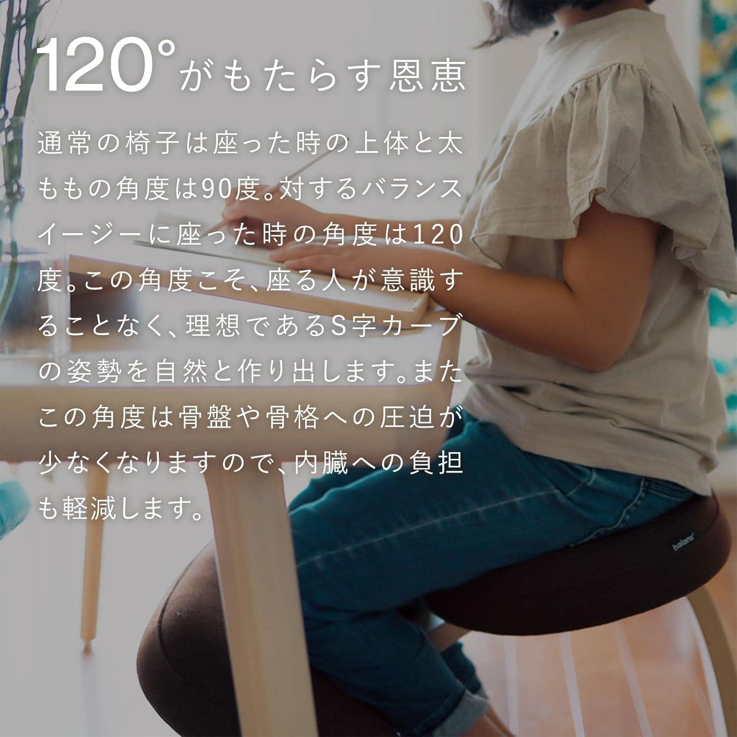 balance lab バランスイージー ラクに姿勢がよくなる椅子｜バランス イージー バランスラボ