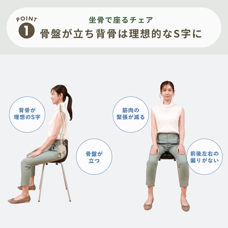 ayur-chair スツールタイプ 座面高さ49㎝タイプのレンタル・サブスク