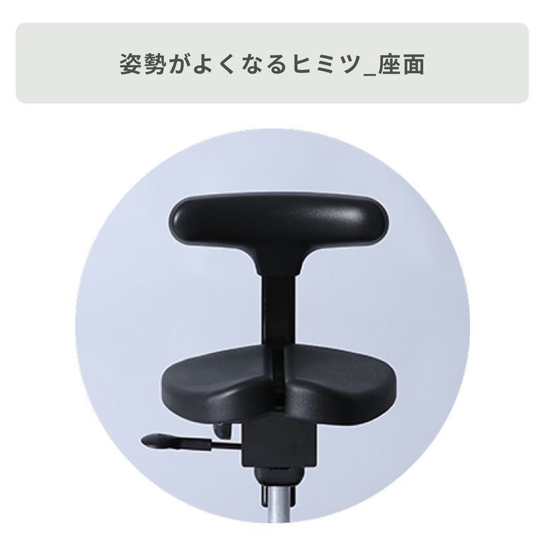 ayur-chair キャスタータイプ オクトパス ハイレンジのレンタル