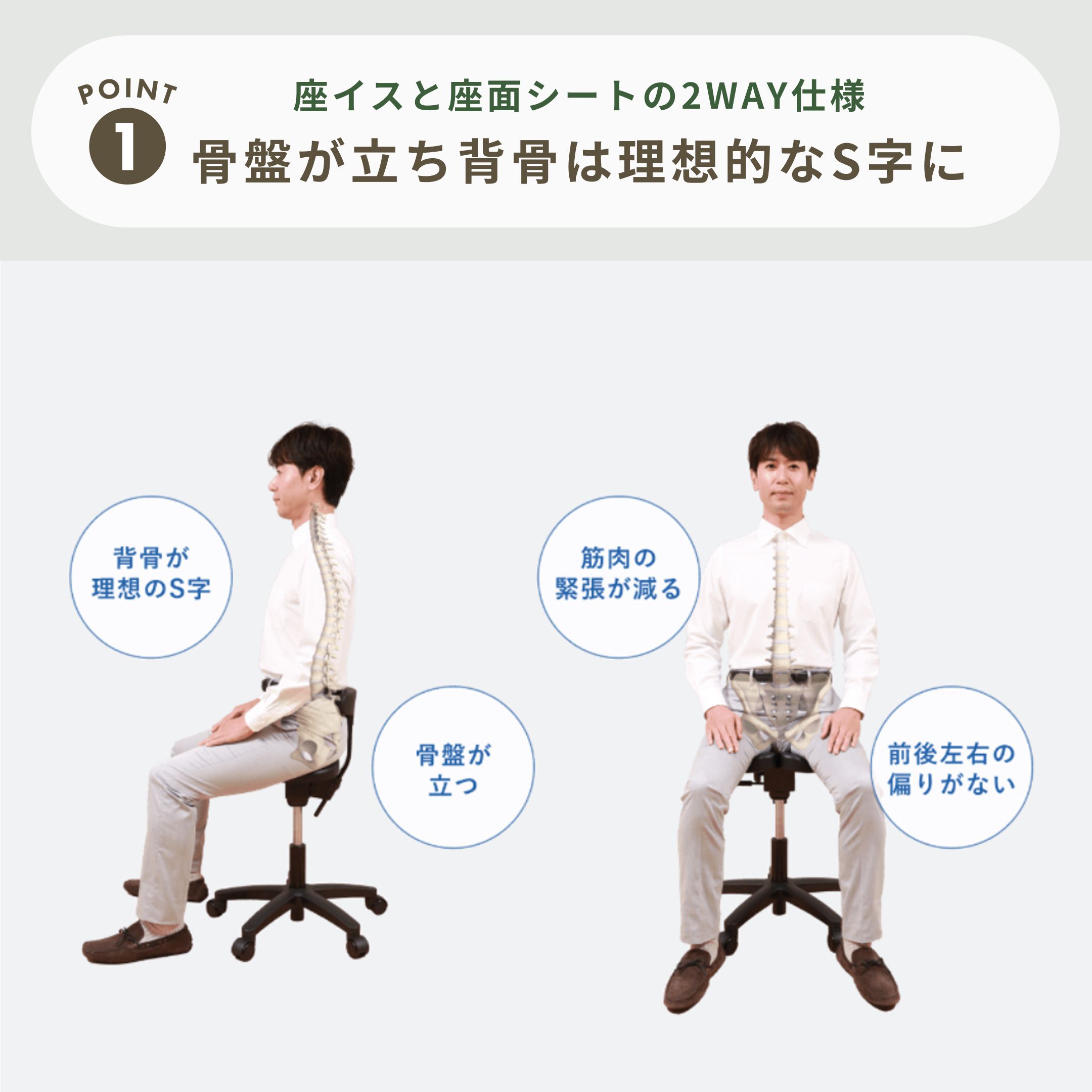 ayur-chair キャスタータイプ オクトパス スタンダードのレンタル
