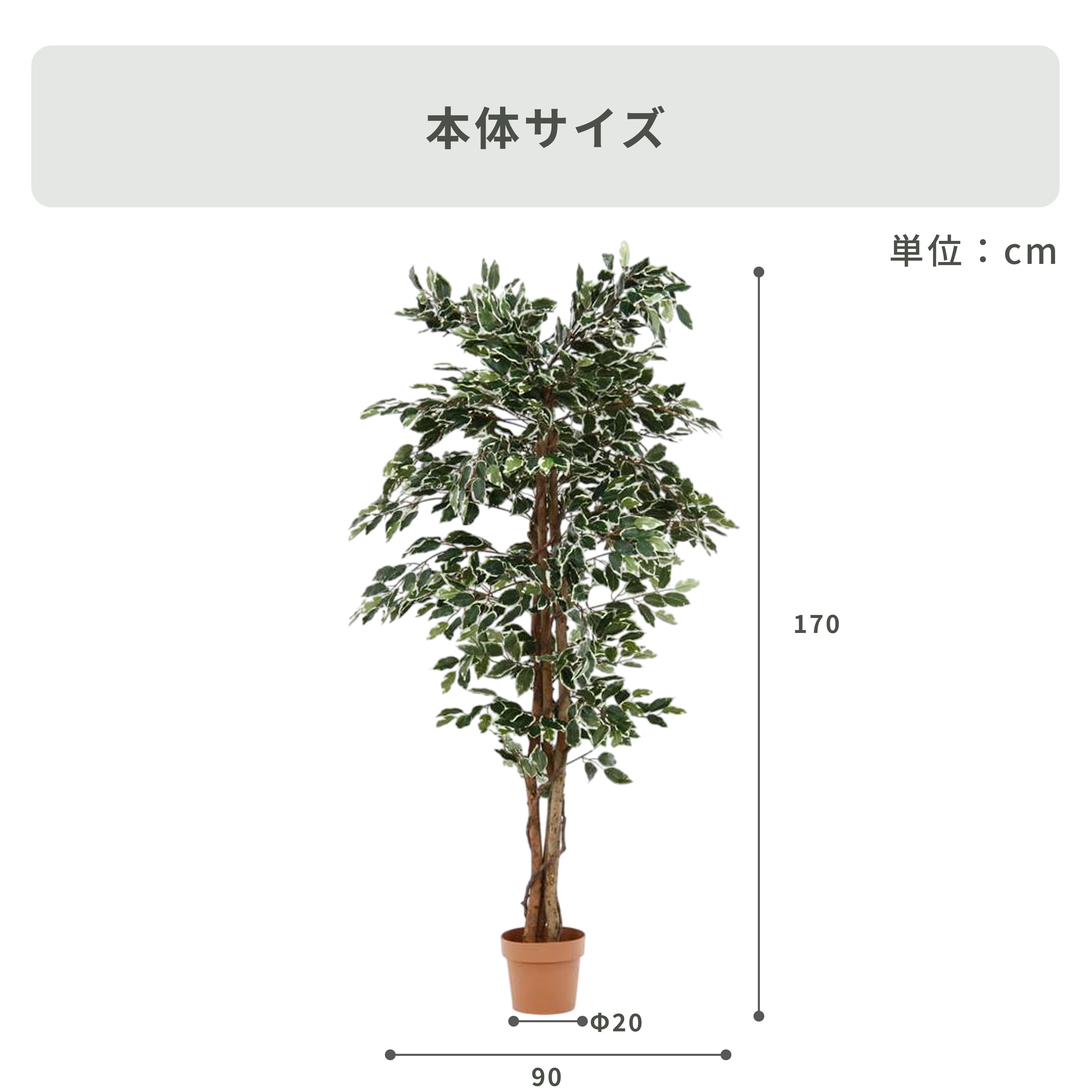 フェイクグリーン フィカス 幅90×奥行90×高さ170cmのレンタル