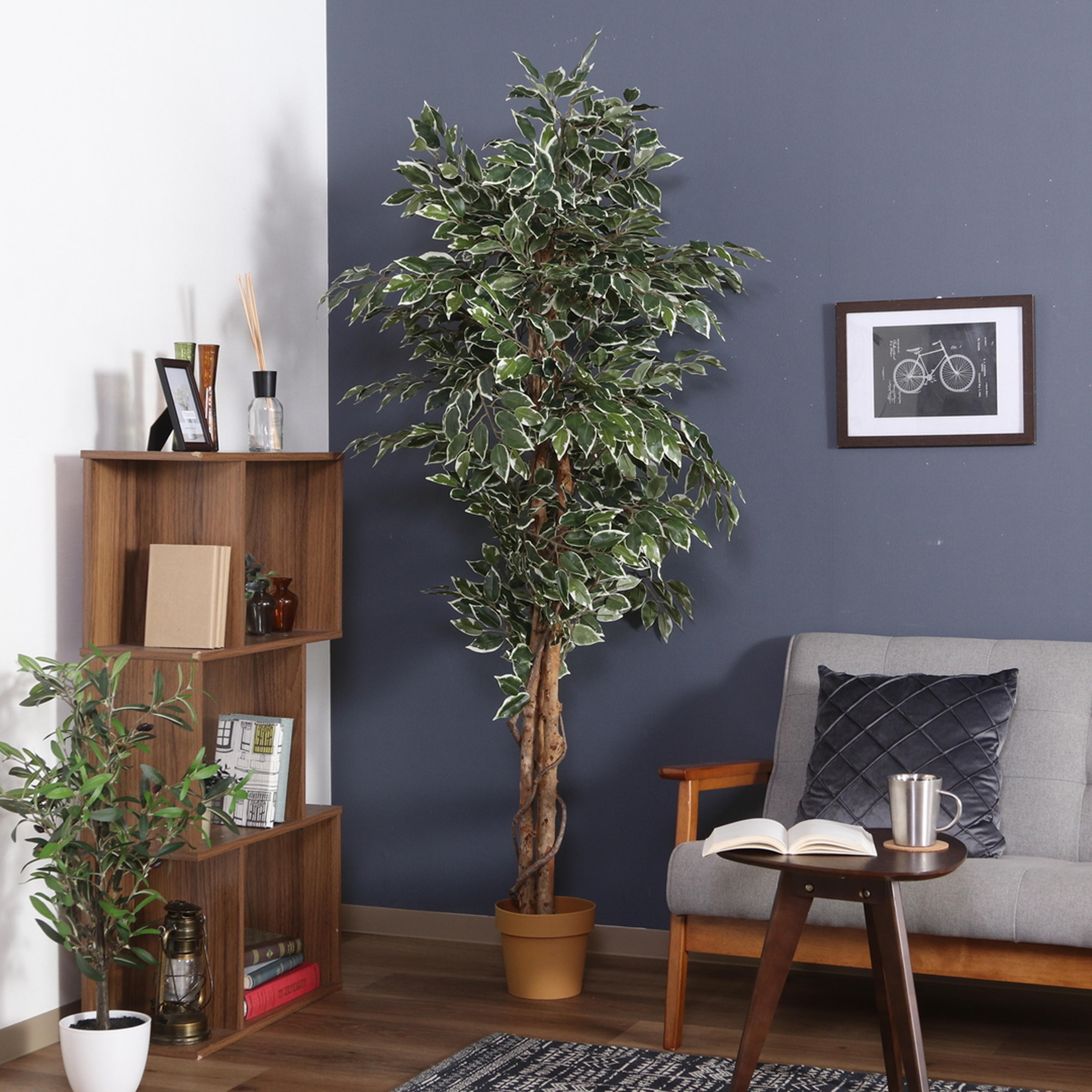 フェイクグリーン フィカス 幅90×奥行90×高さ170cmのレンタル