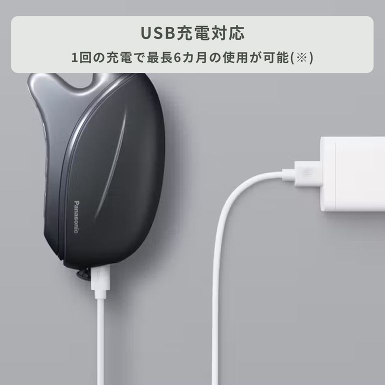 Panasonic (パナソニック) リフトケア 美顔器 バイタリフト かっさ EH