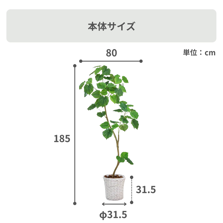 アーティフィシャルグリーン ウンベラータ 高さ185cmのレンタル