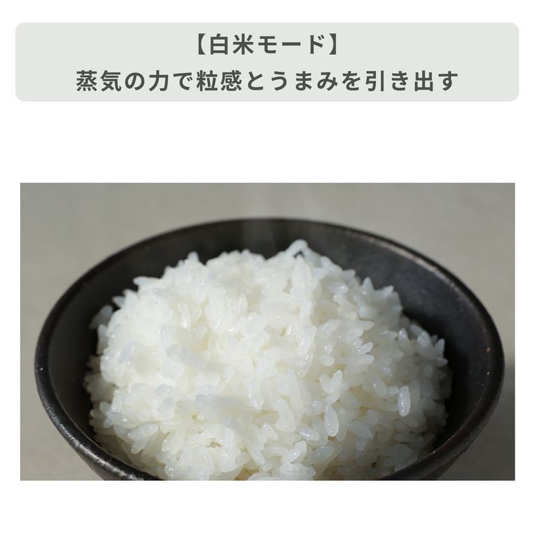 BALMUDA (バルミューダ) The Gohan 炊飯器 3合炊き スクエアタイプ