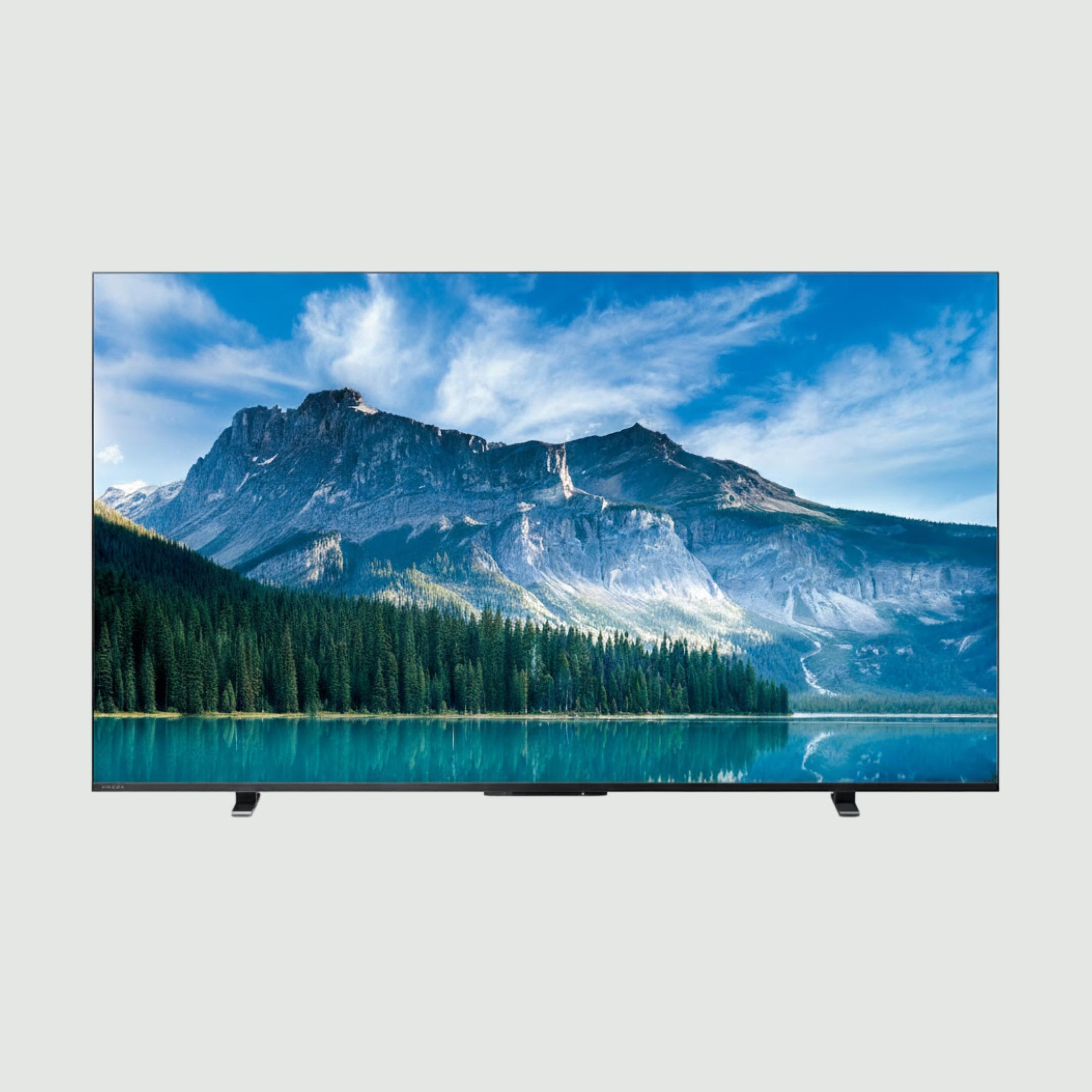 REGZA 65V型 4Kチューナー内蔵 液晶テレビ 65V型 REGZA / レグザの